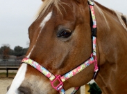 That 70’s Halter