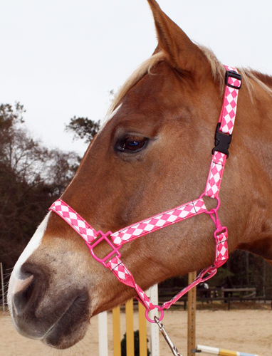 Pink Jester